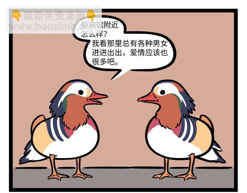 第294话 带货