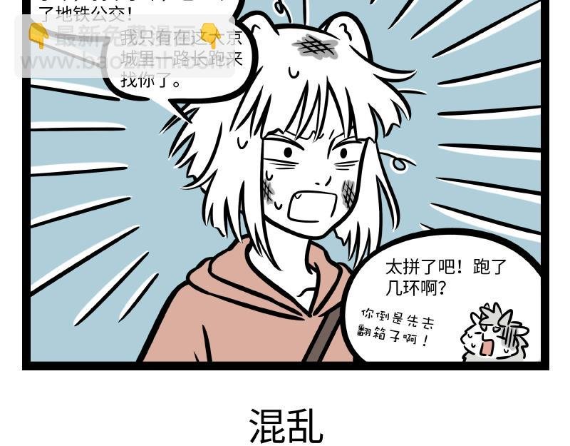 第295话 收纳