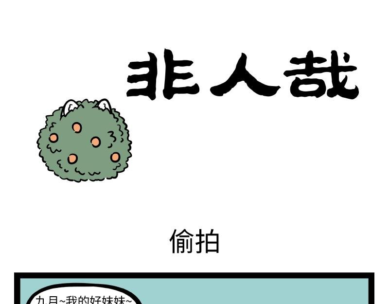 第299话 缘