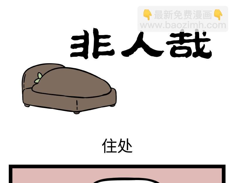 第306话 装修