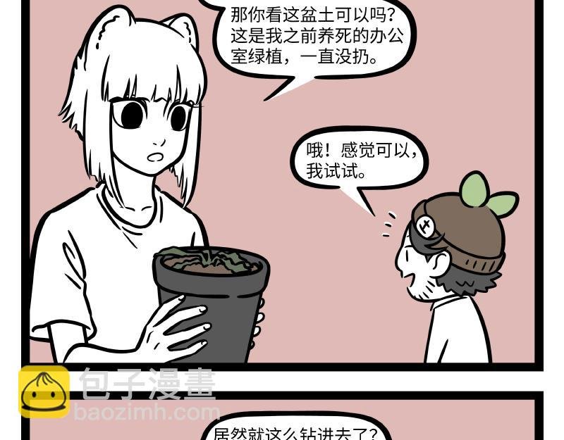 第306话 装修