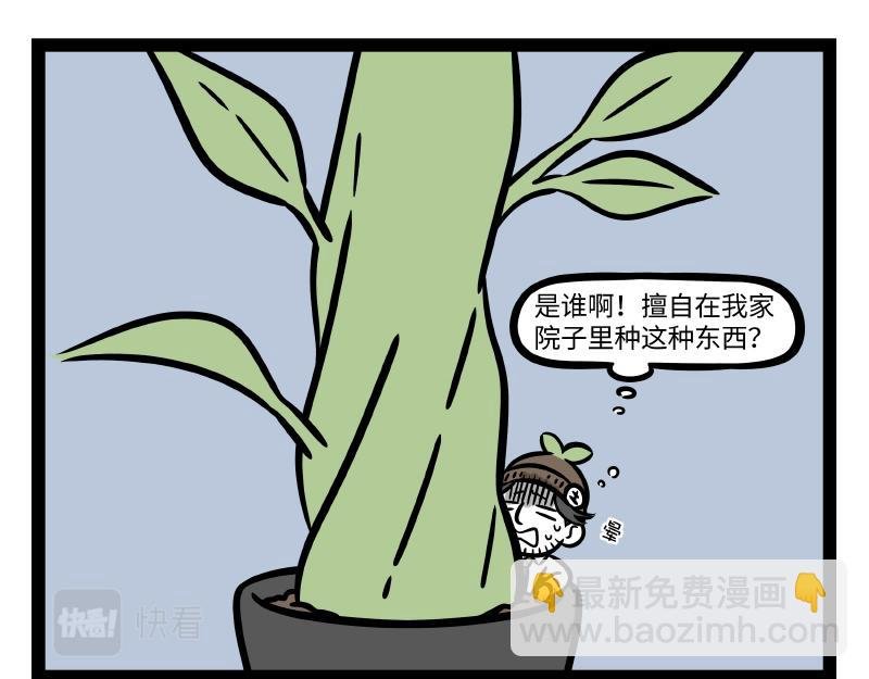 第317话 魔豆