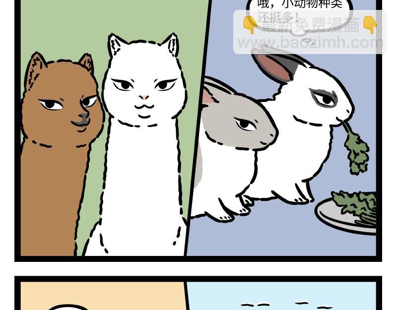 第337话 小动物馆