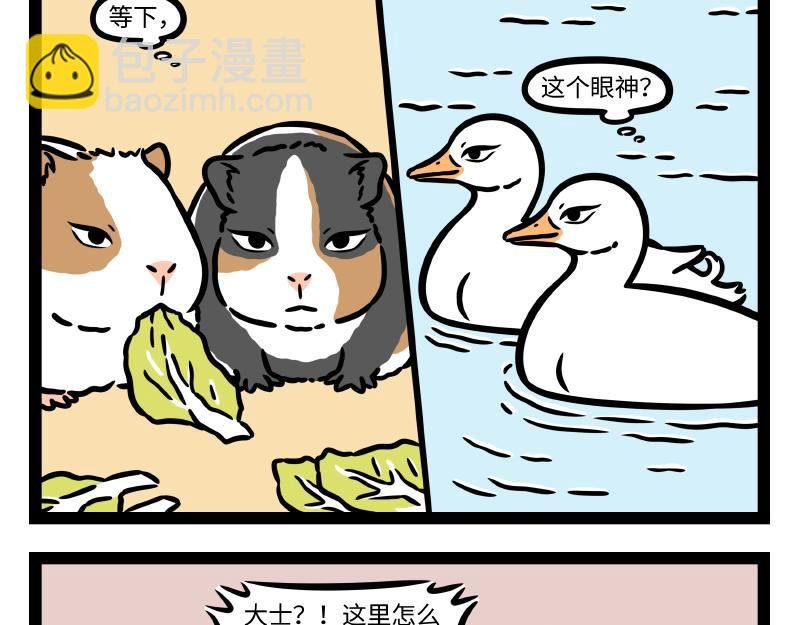 第337话 小动物馆