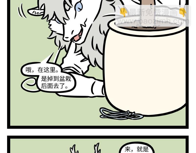 第337话 小动物馆