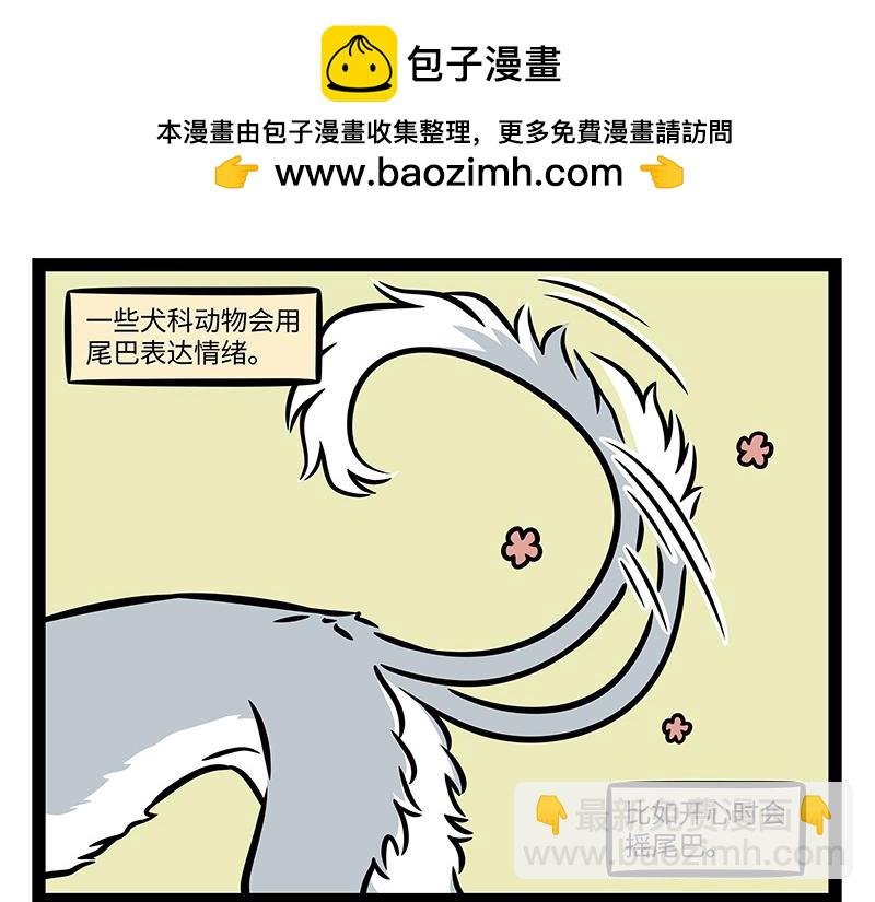 第376话 贴纸
