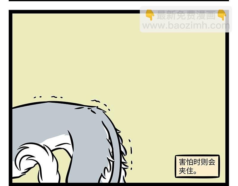 第376话 贴纸