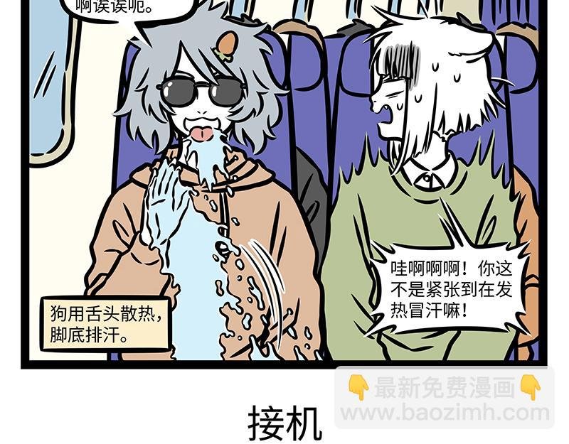第379话 接机