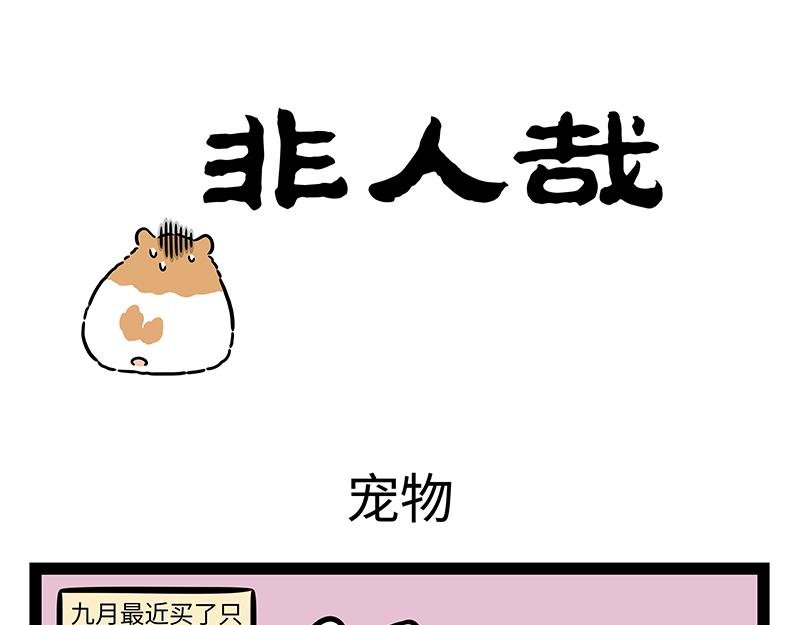 第419话 宠物