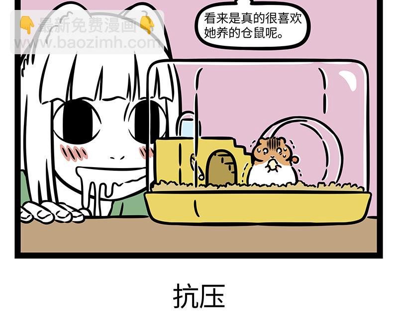 第419话 宠物