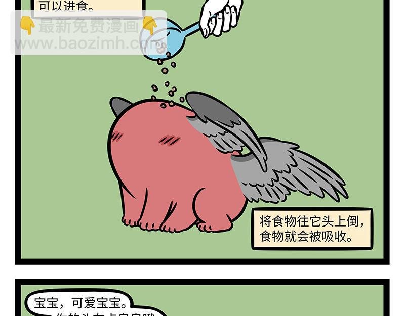 第419话 宠物