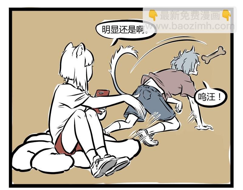 第50话 计划