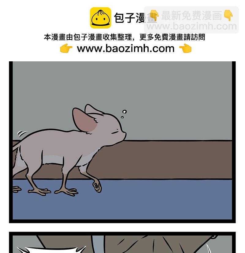 第498话 镜子