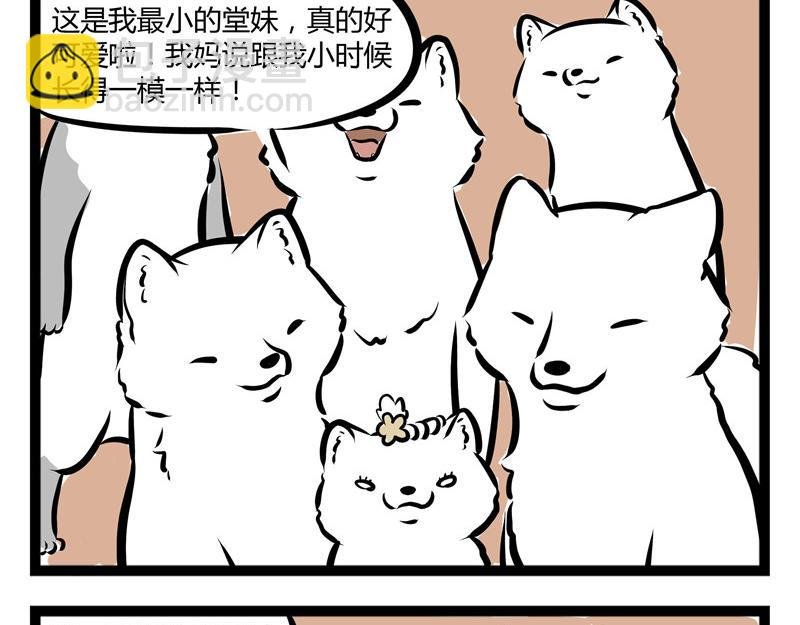 第52话 眼泪攻势