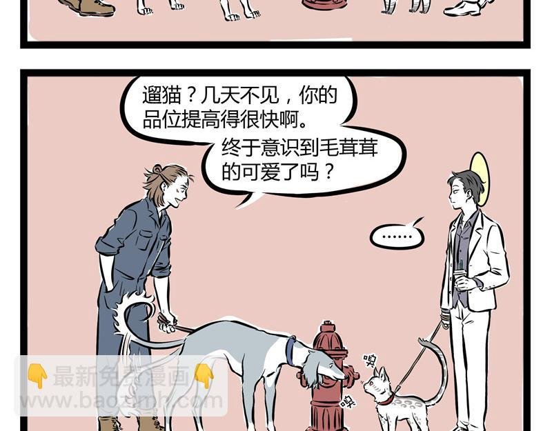 第53话 厨神争霸赛！