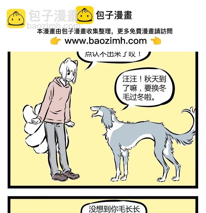 第57话 嘿！你换毛了吗？