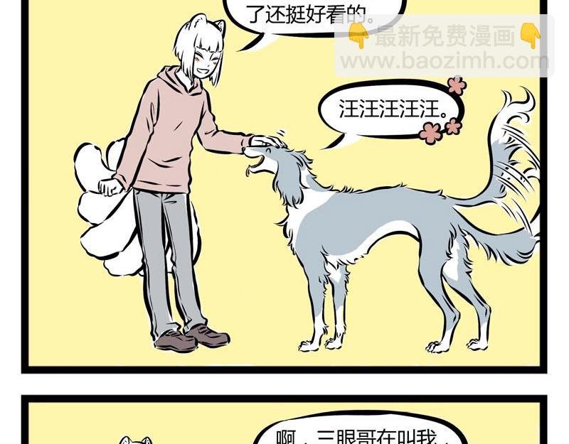 第57话 嘿！你换毛了吗？