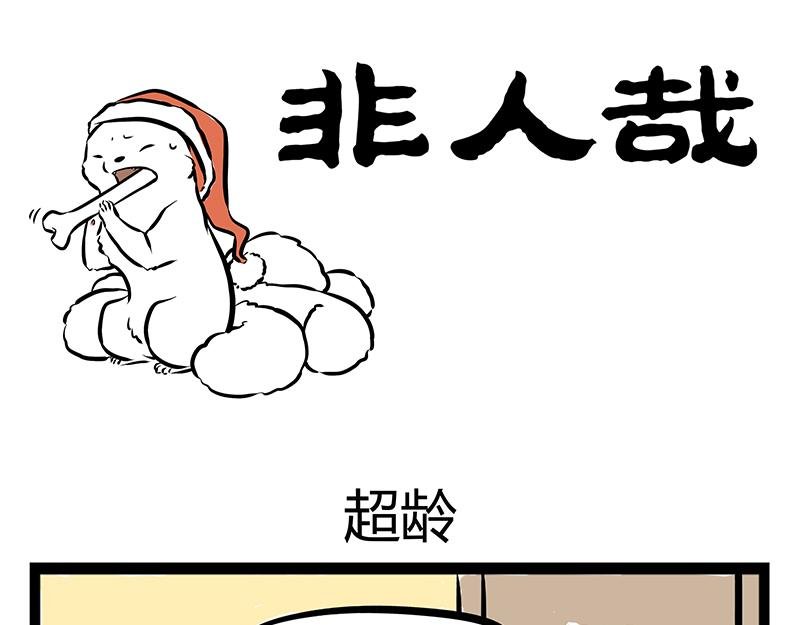 第67话 过年之前有人捣乱？