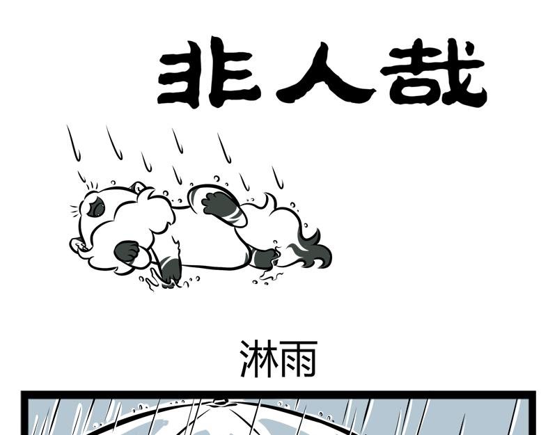 第95话 淋雨
