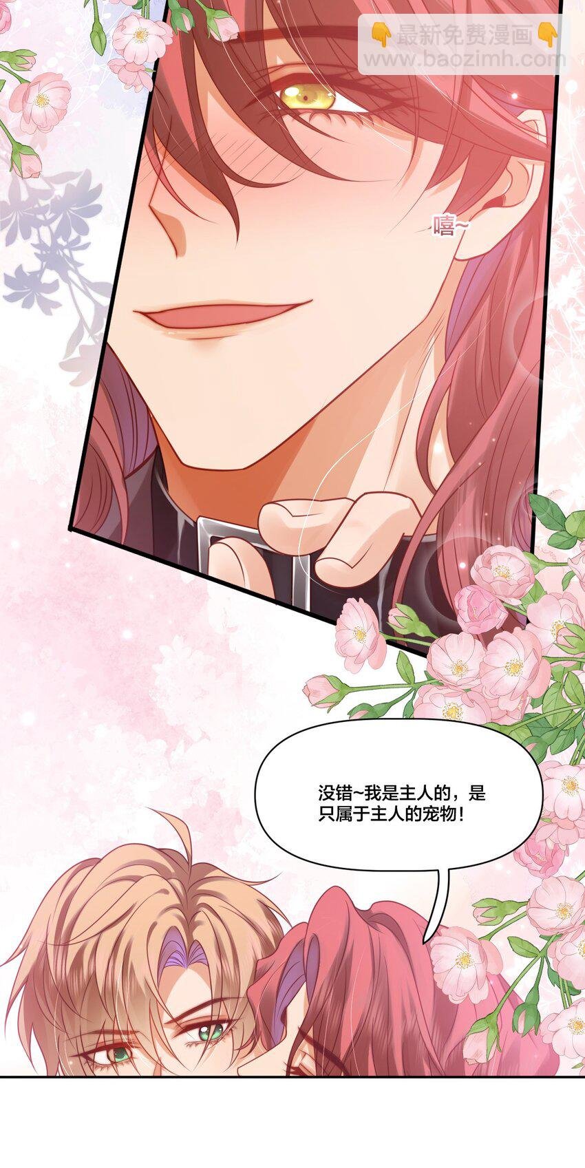 004 可以把他送给我吗？