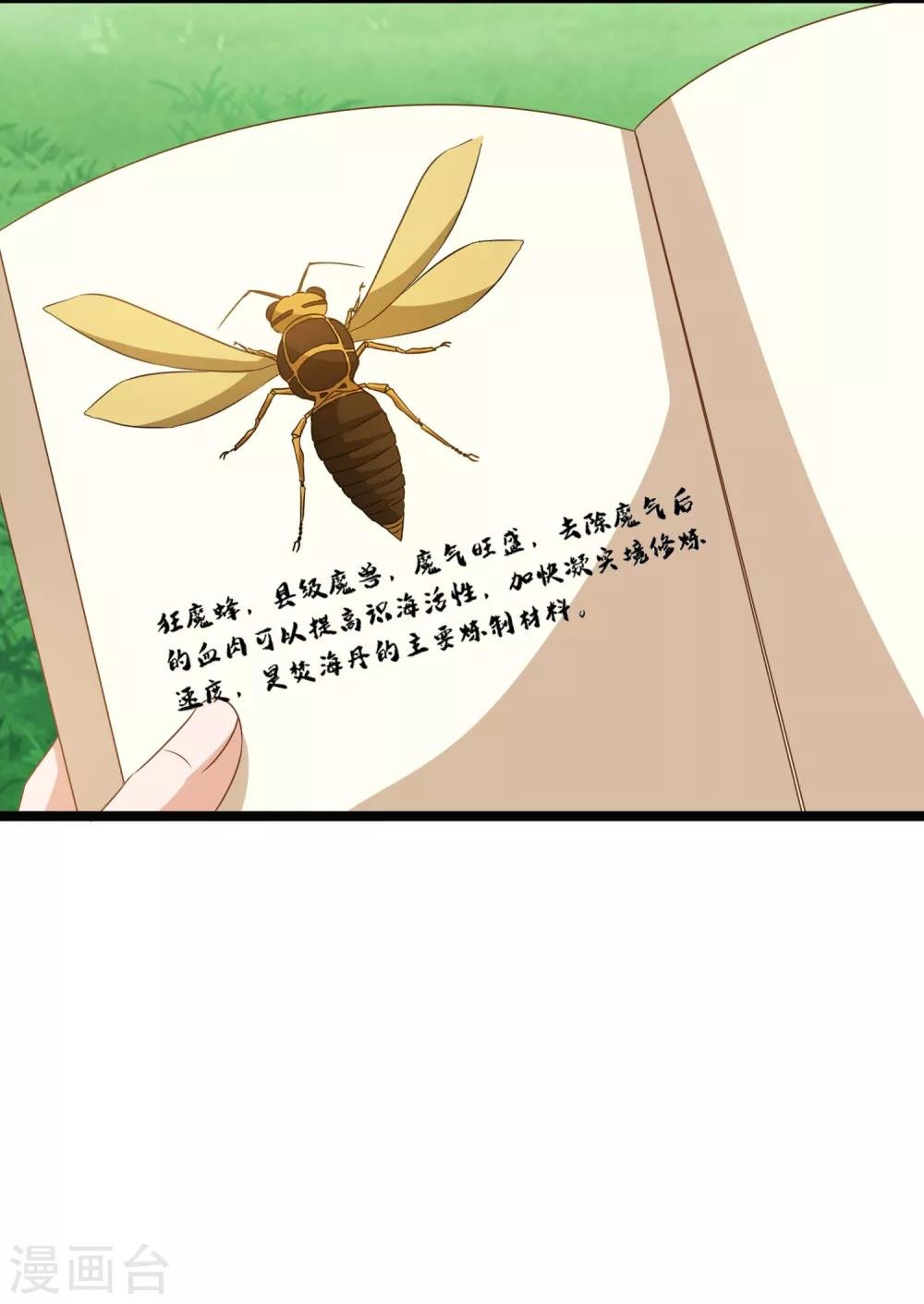 第27话 连小动物都不放过