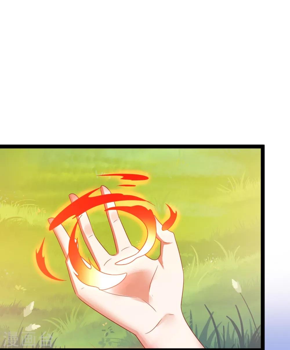 第27话 连小动物都不放过