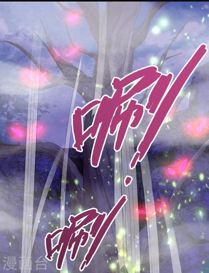 第13话 奇怪的树妖