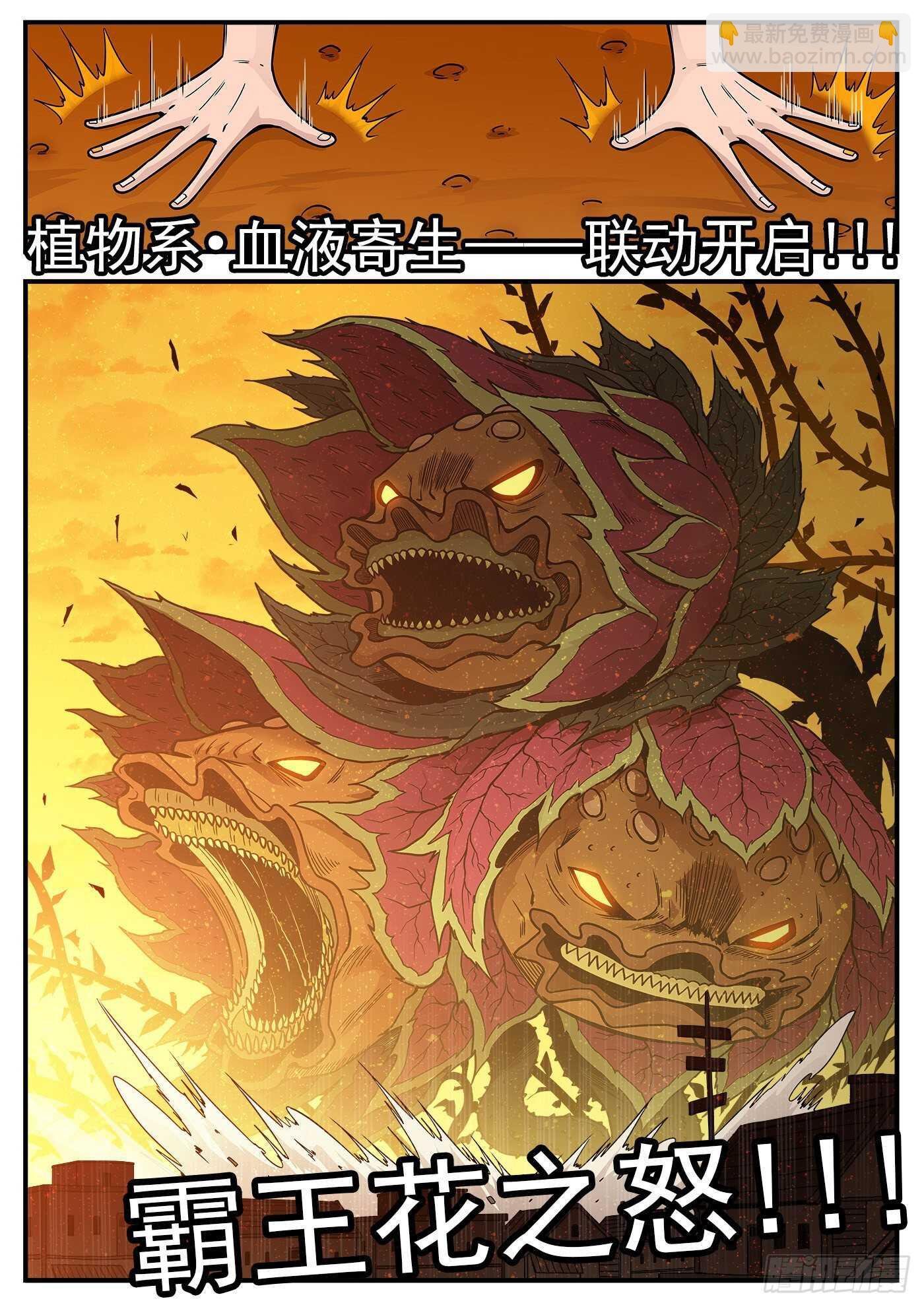 225弹：三颗种子