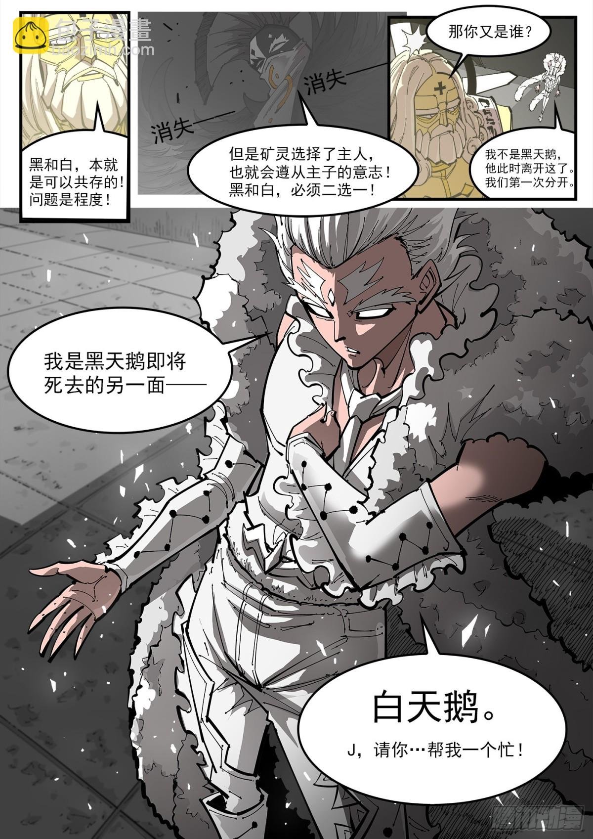402回：白天鹅