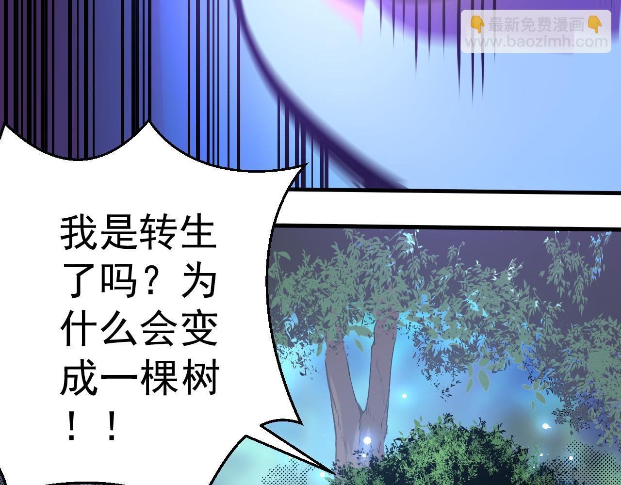 第1话 重生成树！