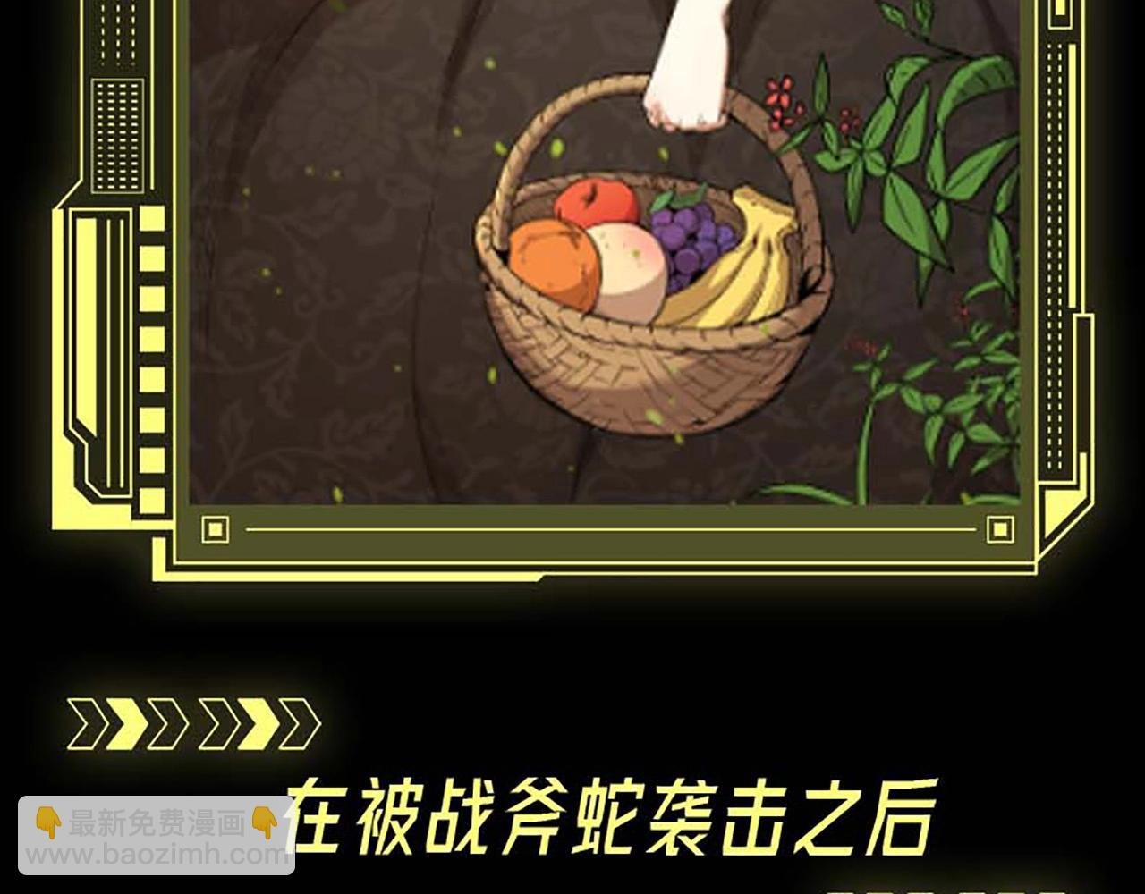 第3期 关于小青\/小灵的情况说明