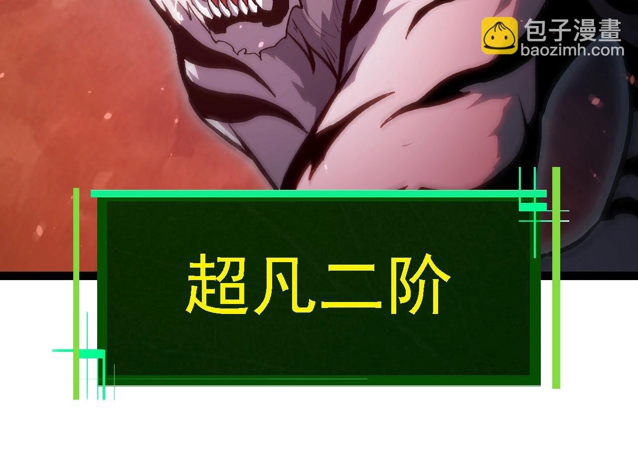 第114话 准备战斗