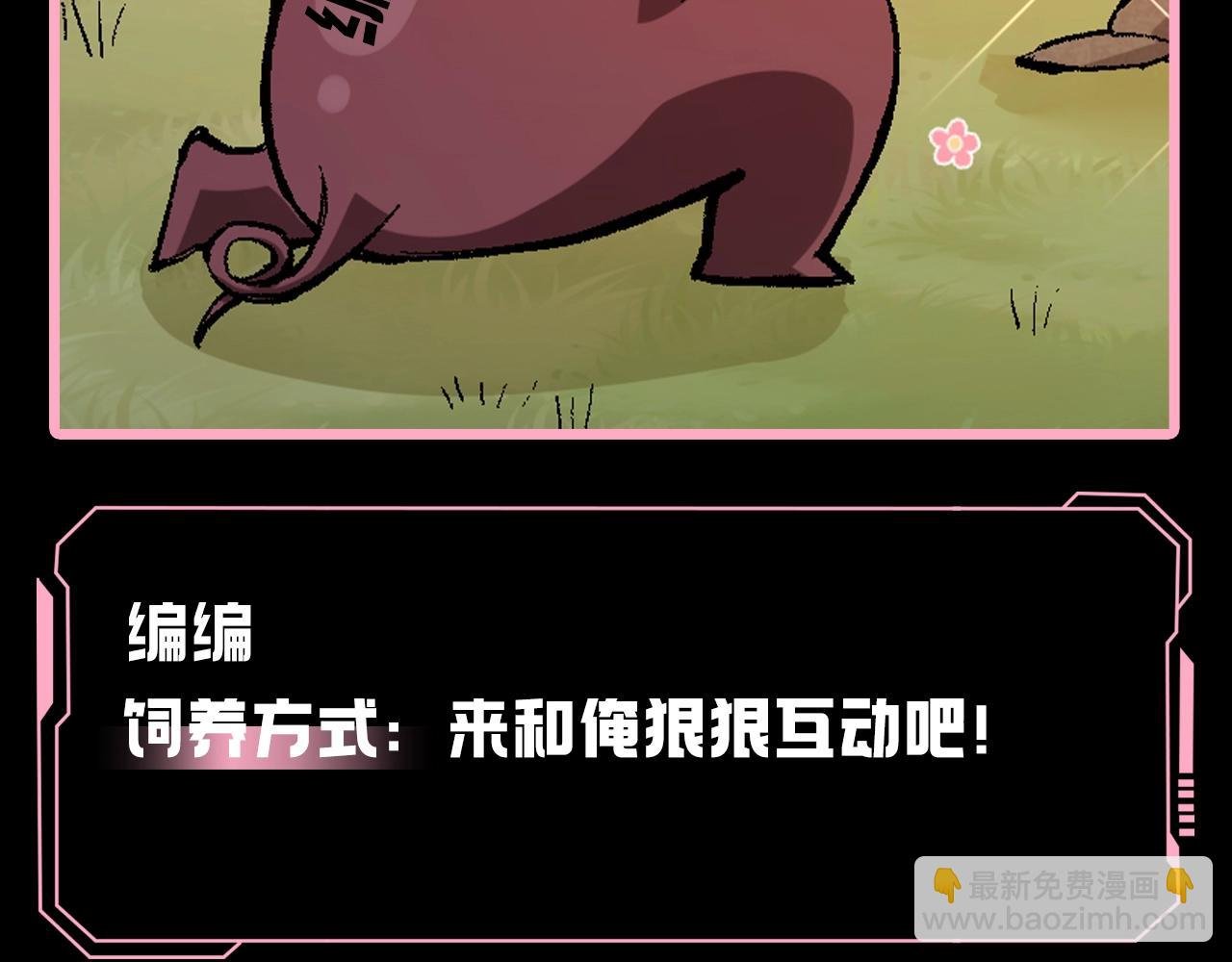 第5期 论如何饲养迷雾山脉的初始哈基米