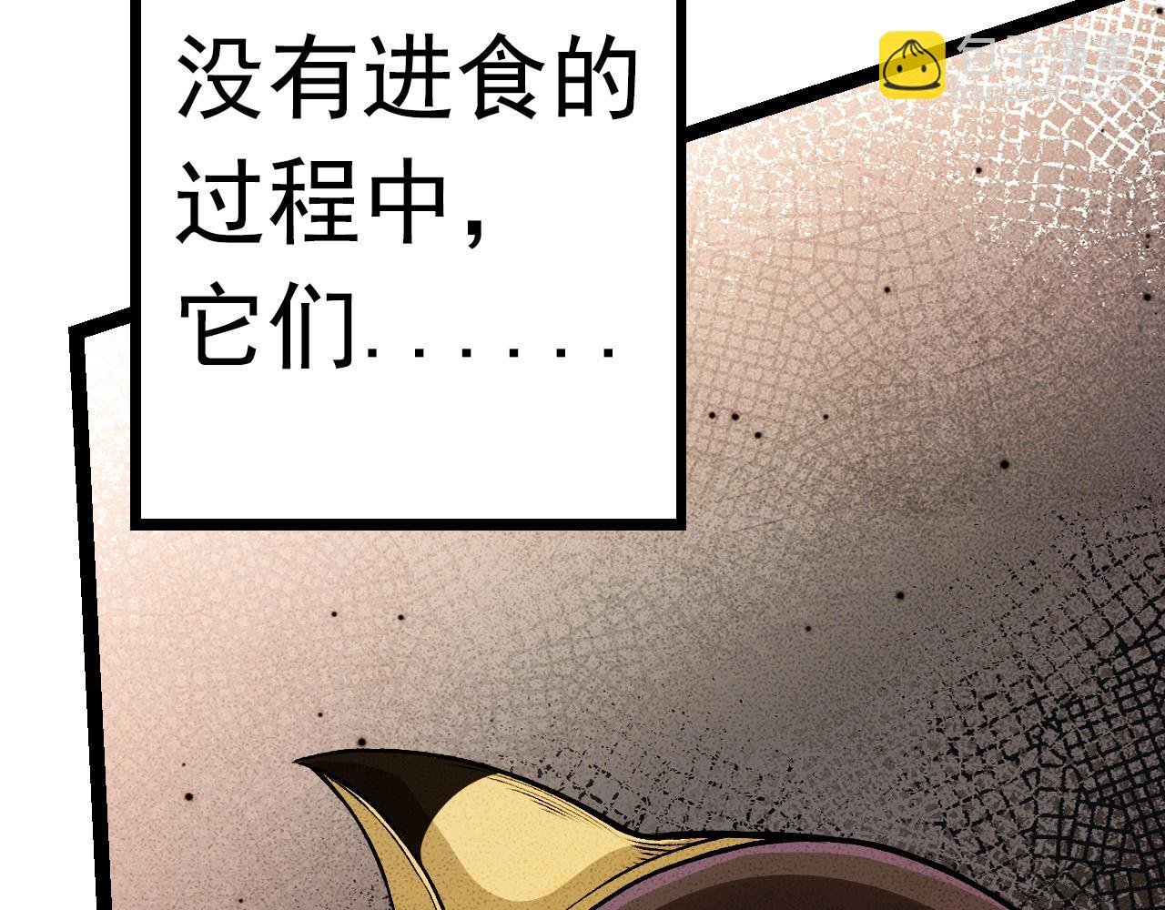 第12话 杀大蛇！！