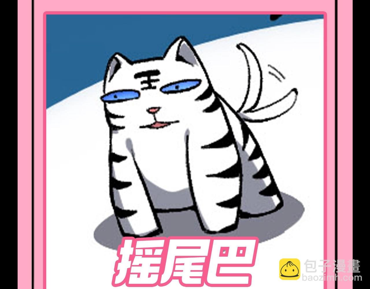 第7期 动物表情包来啦！！