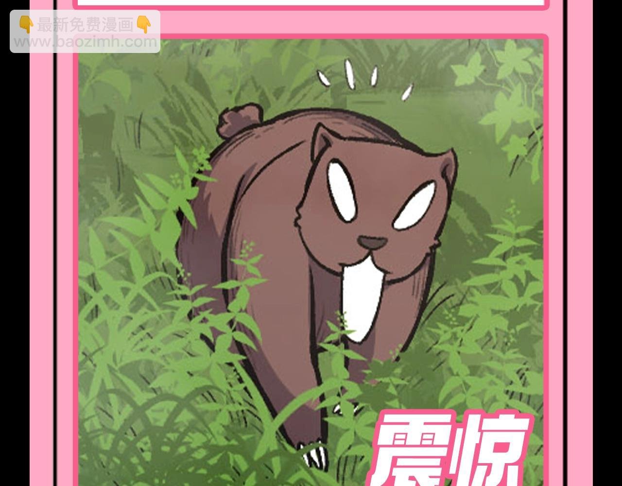 第7期 动物表情包来啦！！