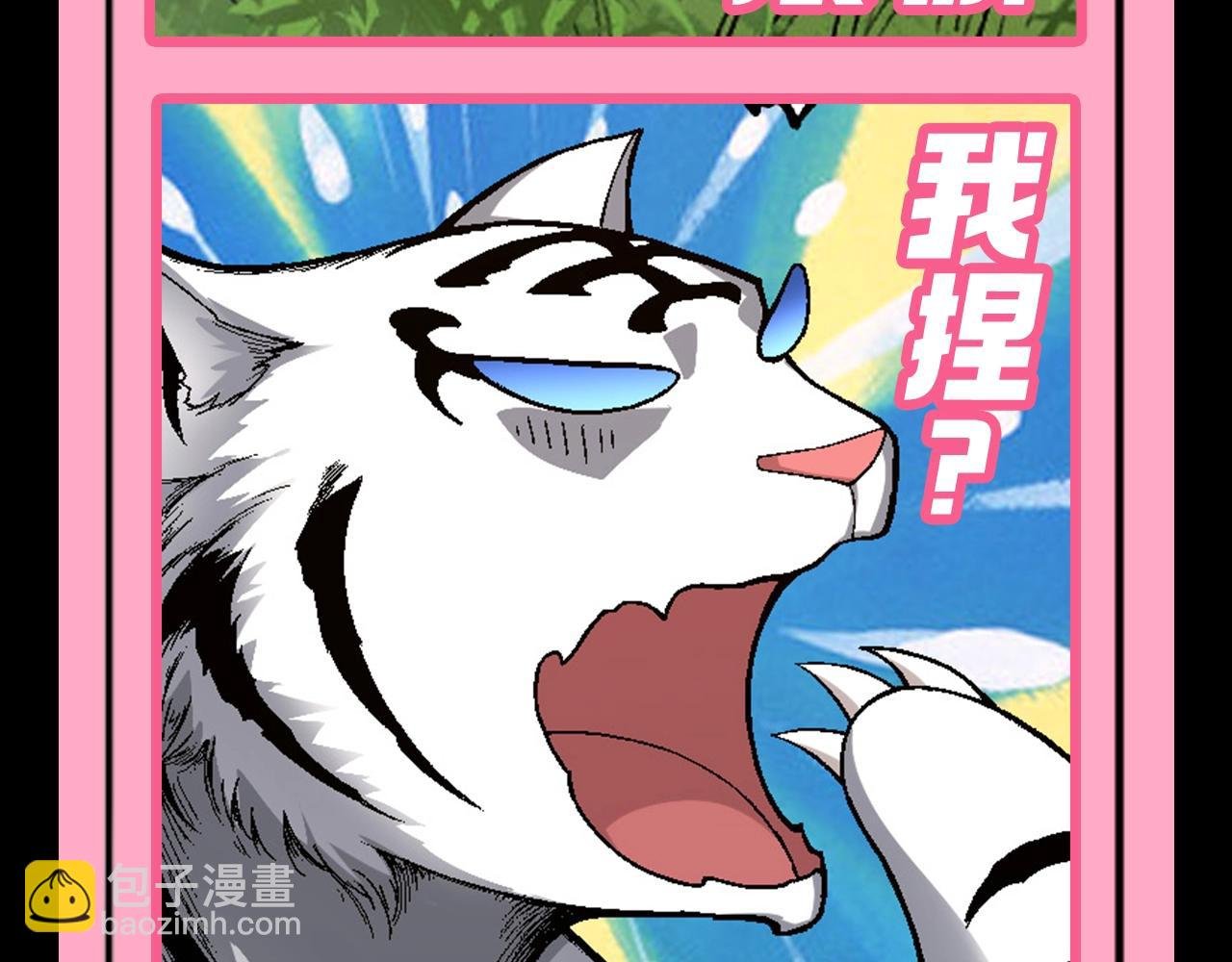 第7期 动物表情包来啦！！