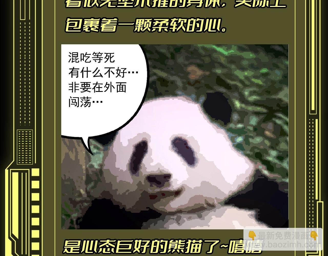 第8期 熊猫仔也有他想保护的人类啊