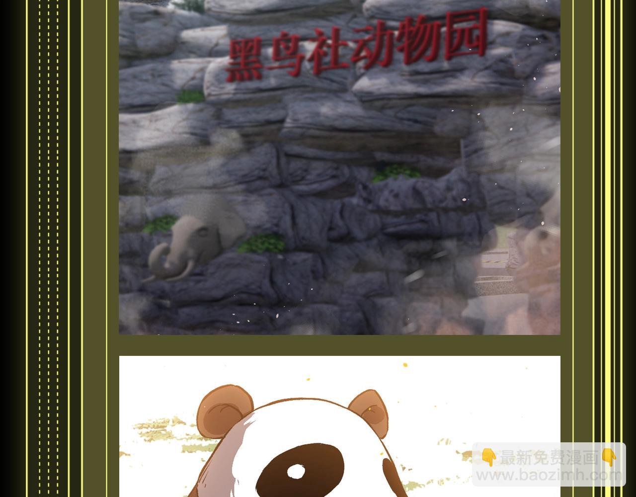 第8期 熊猫仔也有他想保护的人类啊