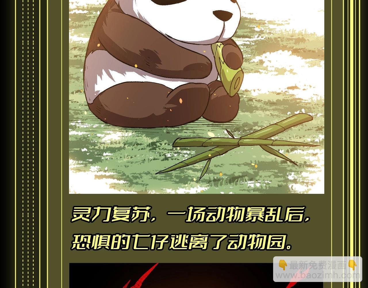 第8期 熊猫仔也有他想保护的人类啊