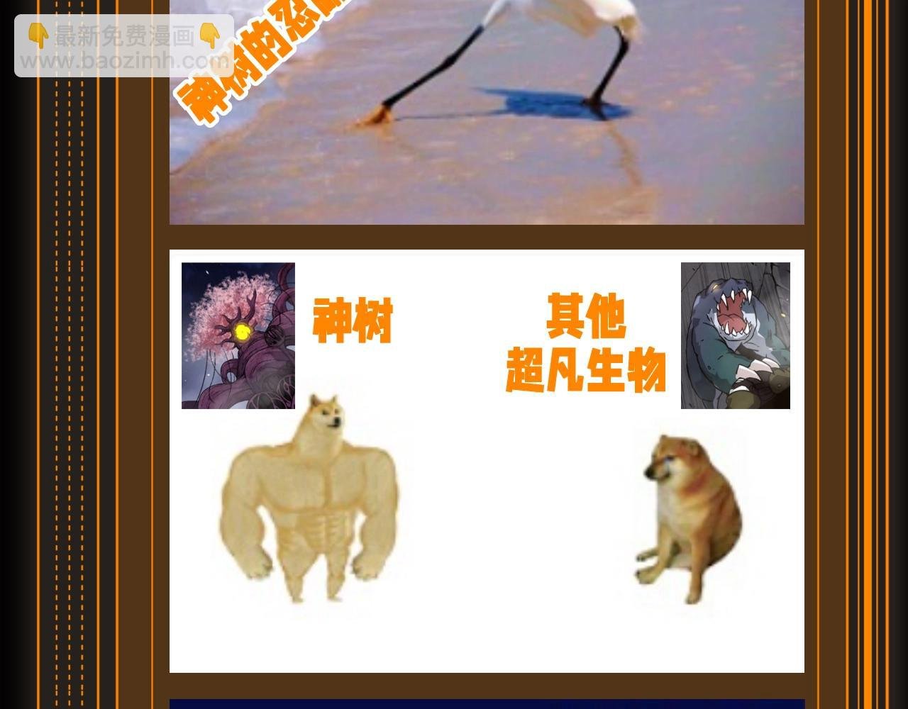 第13期 特别企划：梗图，全是梗图
