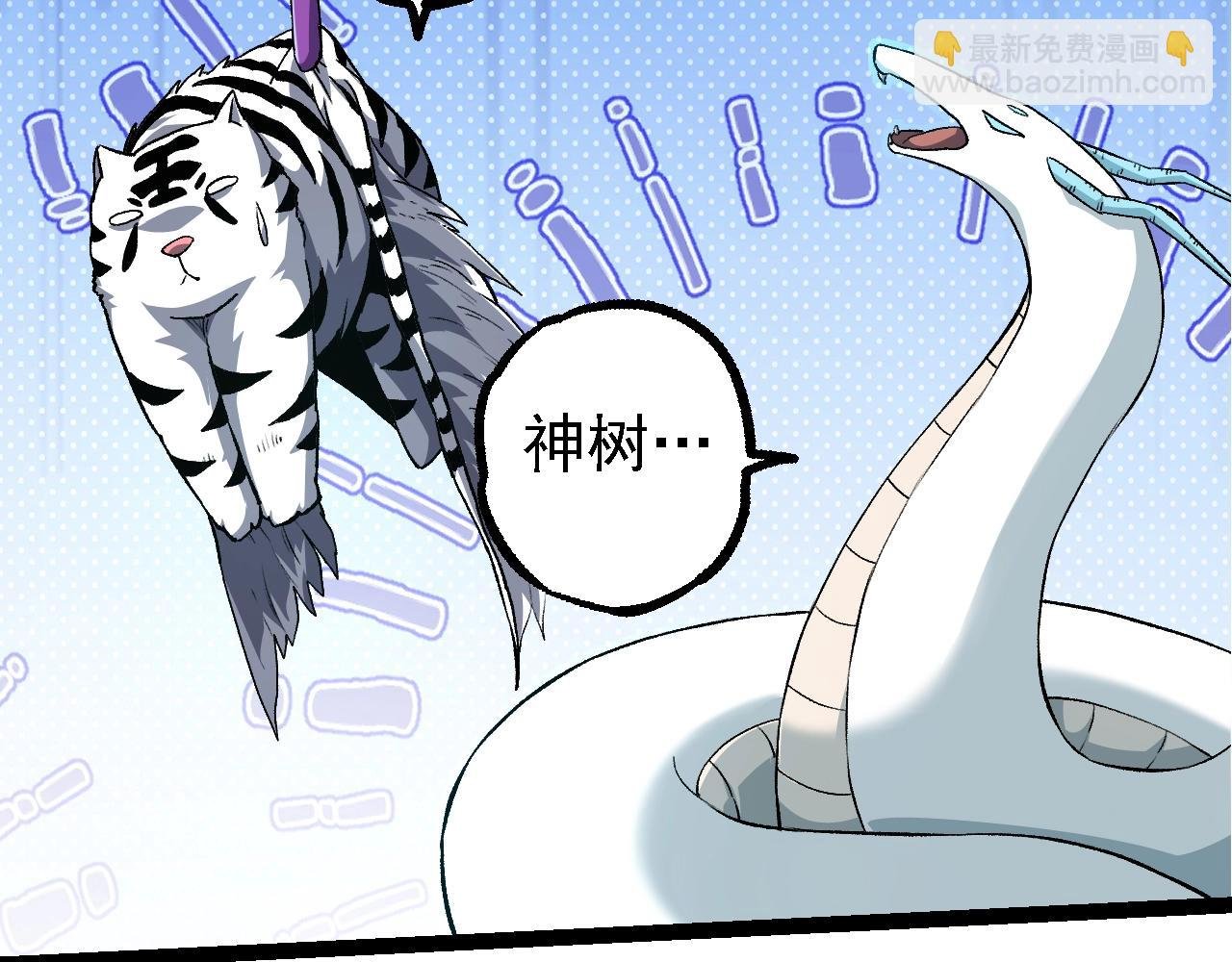 第135话 开幕