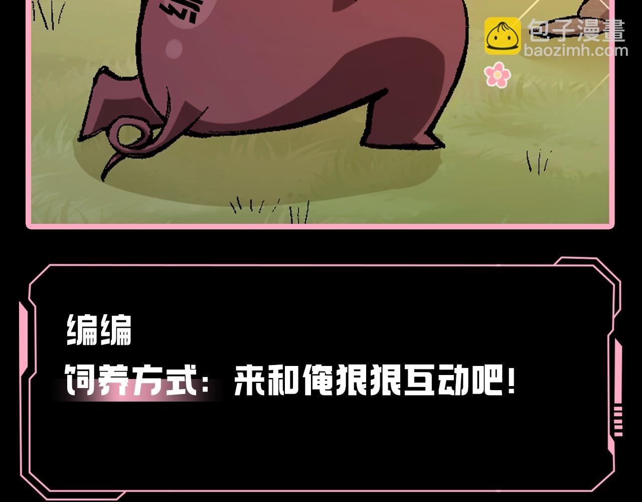 第4期 论如何饲养迷雾山脉的初始哈基米