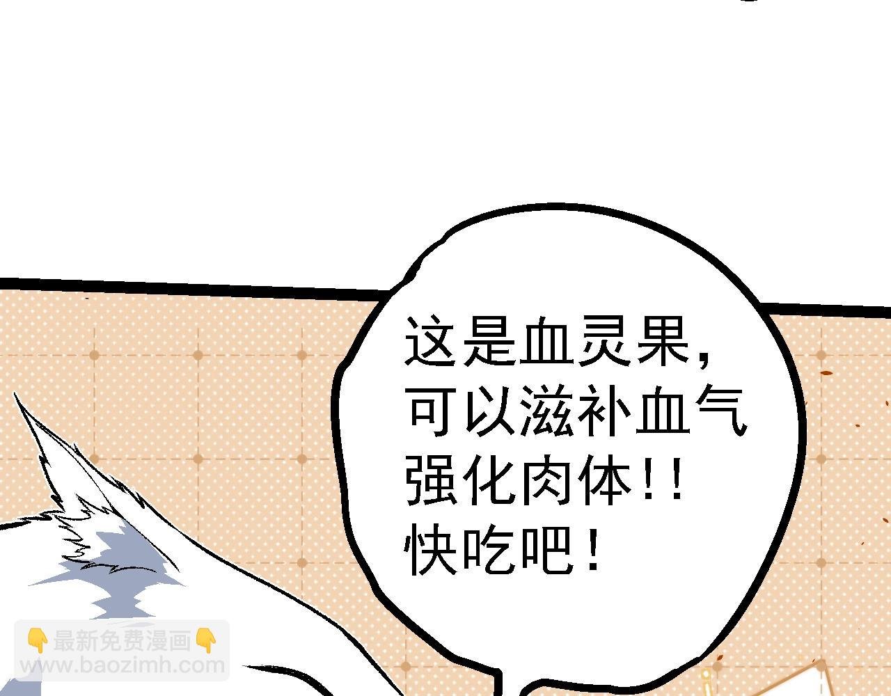 第150话 白虎出击