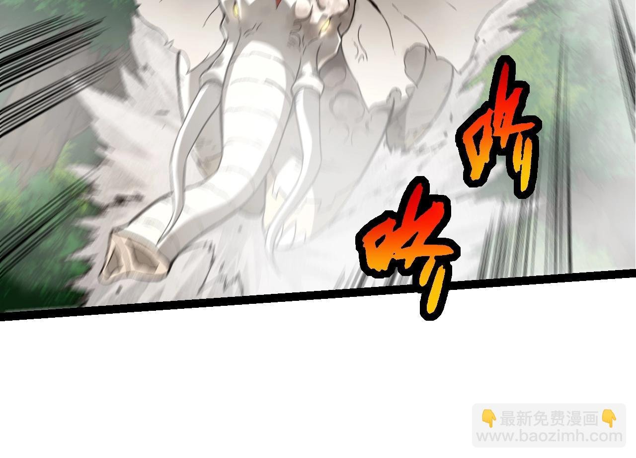 第161话 碾压