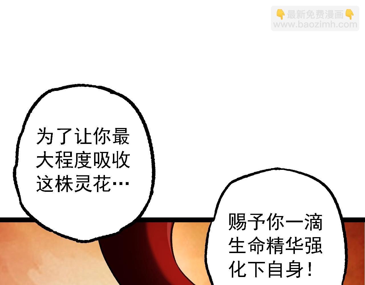 第167话 即将来临的第三次灵力潮汐
