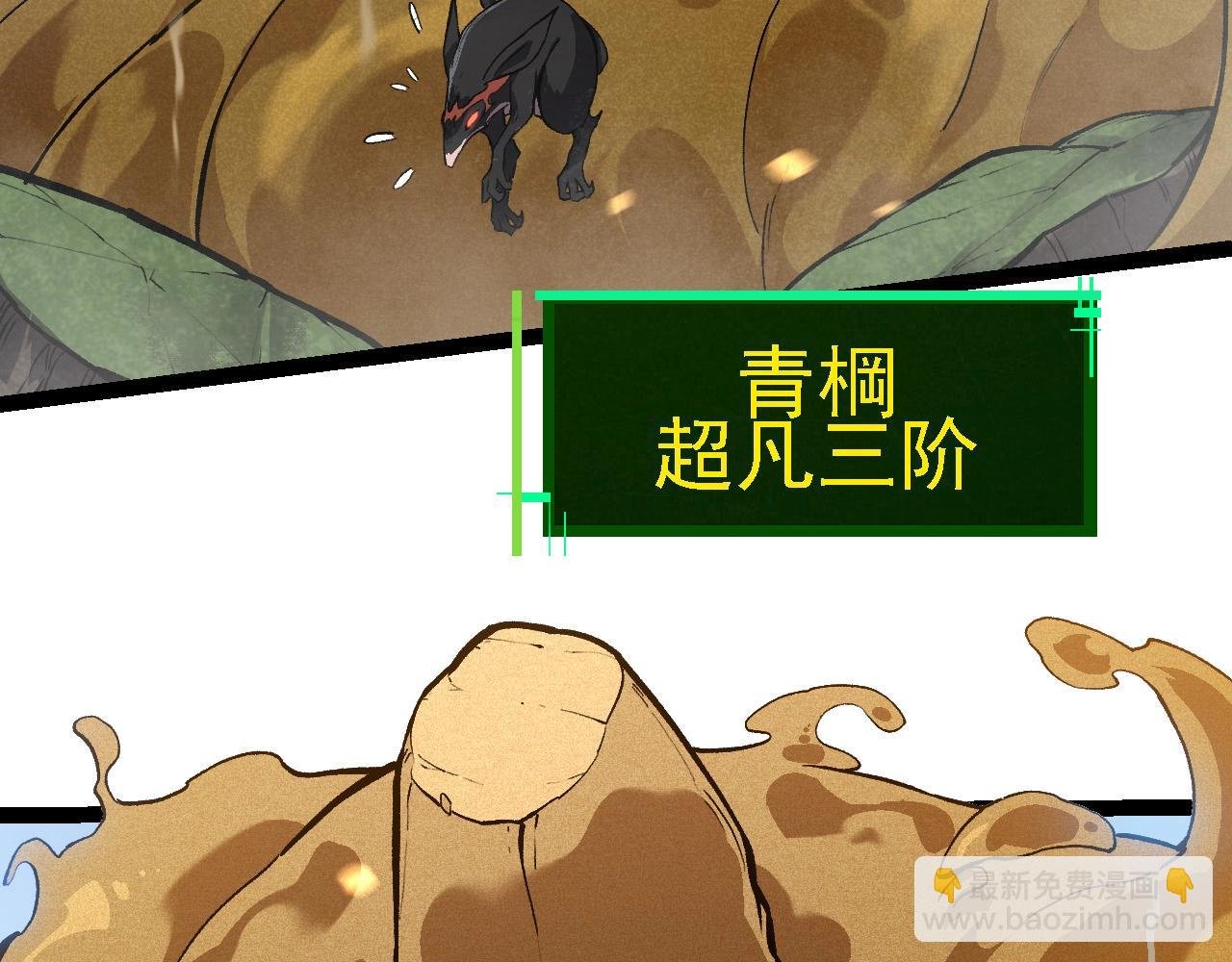 第188话 战火