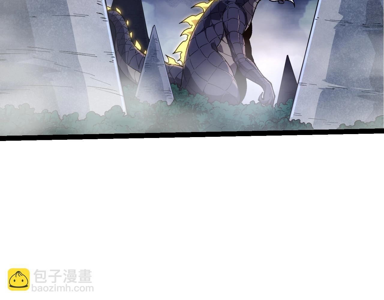 第194话 作战动员