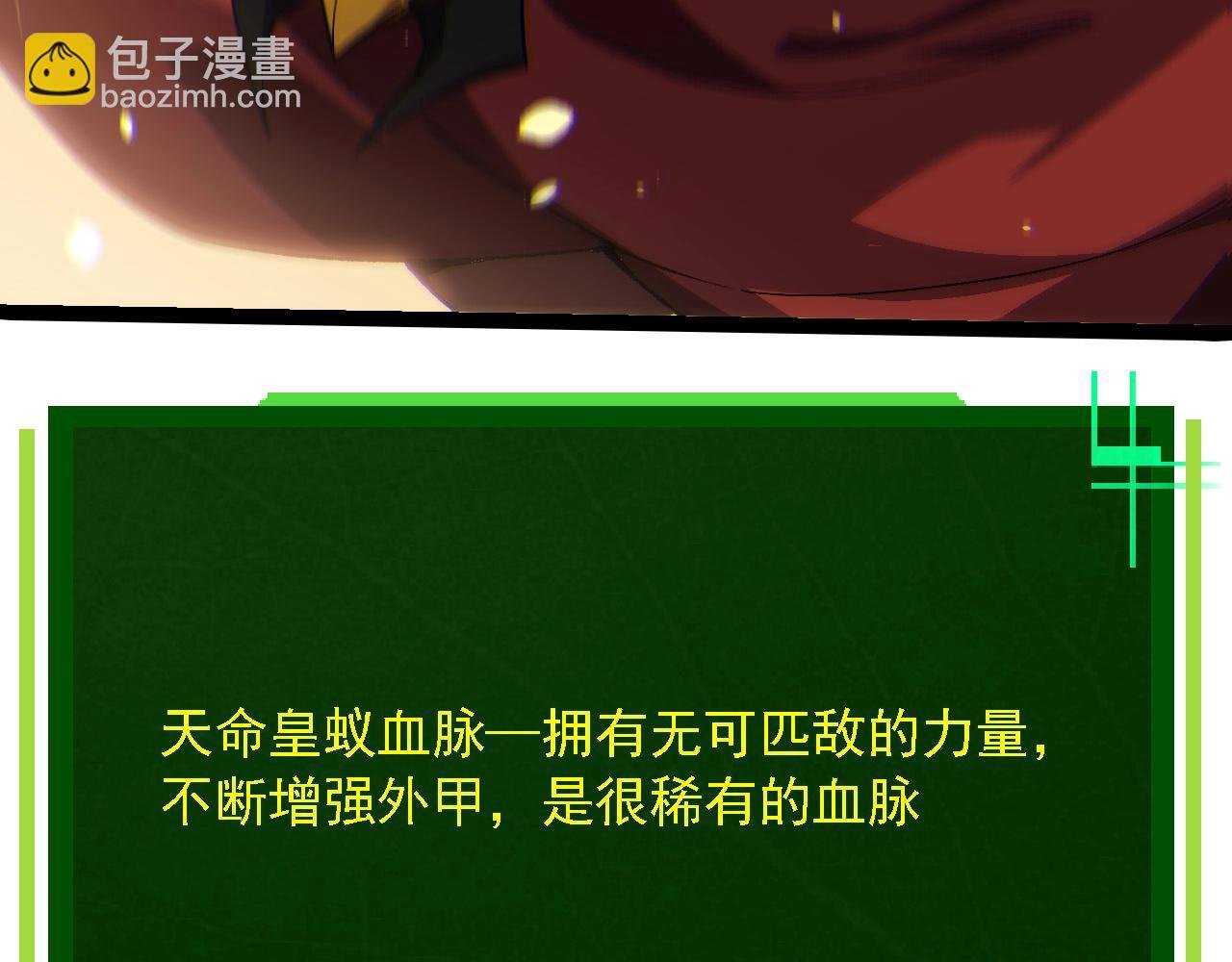 第210话 澳创灾难