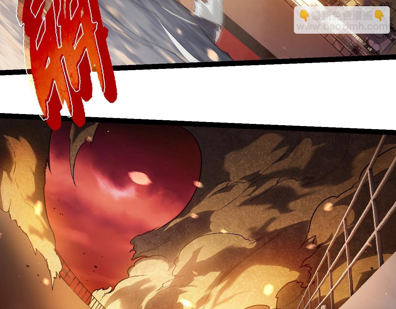 第228话 新的帮手？